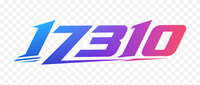 17310